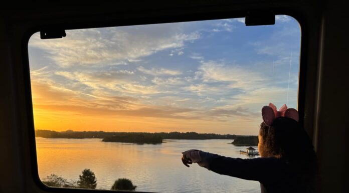 Some Days are for Disney World: Fighting for Presence on Special Days