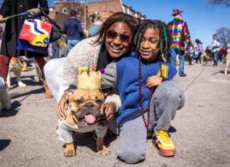 Things To Do with Kids in St. Louis this February