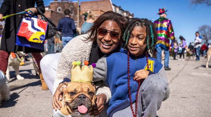 Things To Do with Kids in St. Louis this February