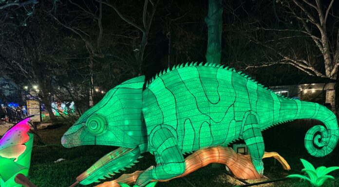 Things to Do with Kids in St. Louis in March