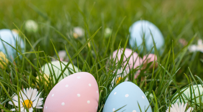 Mom’s Guide to Easter Festivities in St. Louis