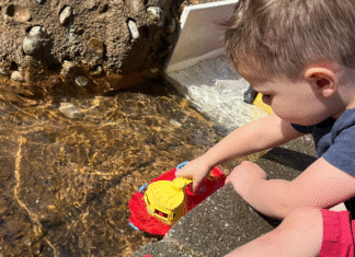 Things to Do with Kids in St. Louis in April