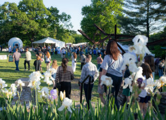 Things to Do with Kids in St. Louis this May