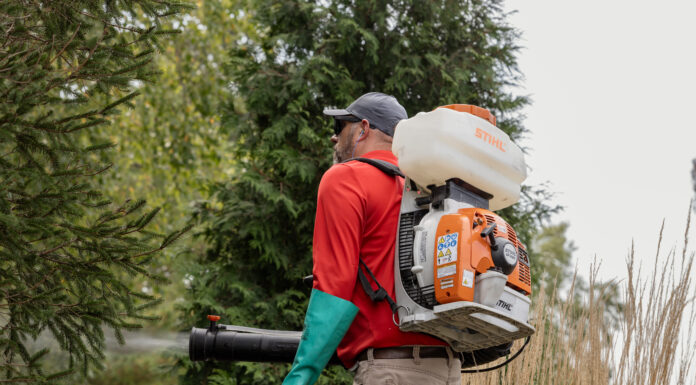 Summer Pest Control Tips for St. Louis Homes