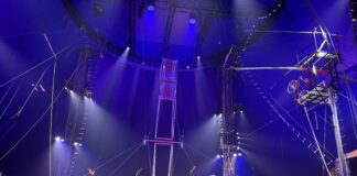 St. Louis’s Favorite Summer Event | A Mom’s Guide to Circus Flora